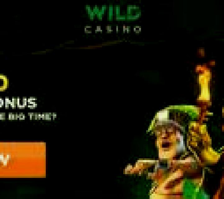 Wild online slot