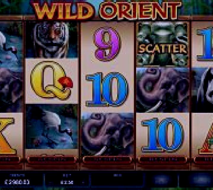Wild Orient slot machine