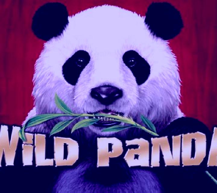 Wild Panda (Aristocrat) slot game