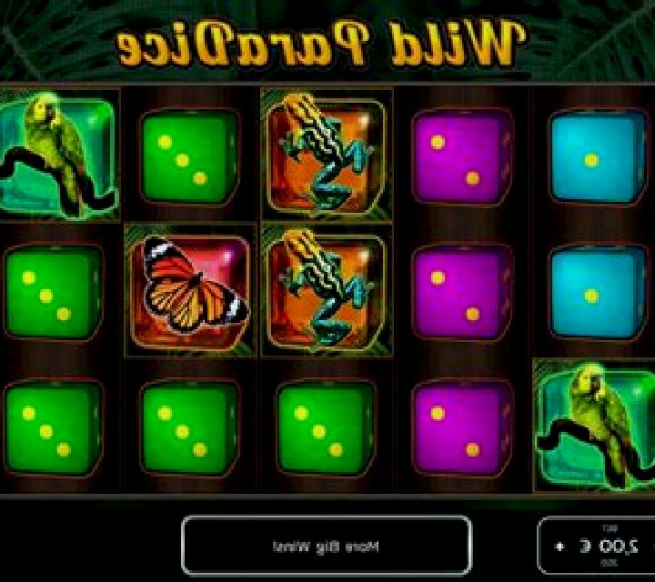Wild Paradice slot machine