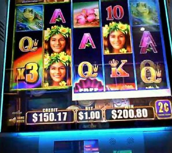 Wild Pearl slot machine