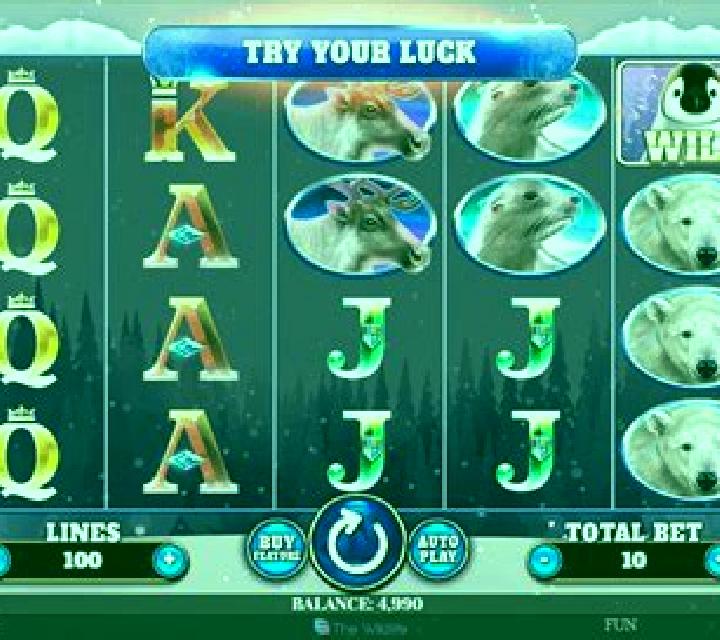 Wild Penguin slot