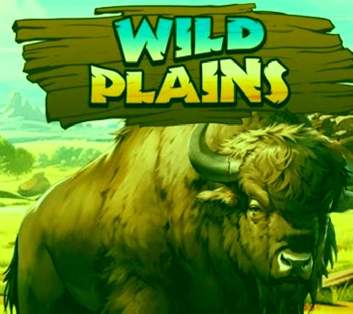 Wild Plains slot game