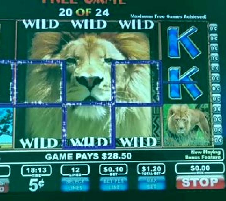 Wild Pride slot game