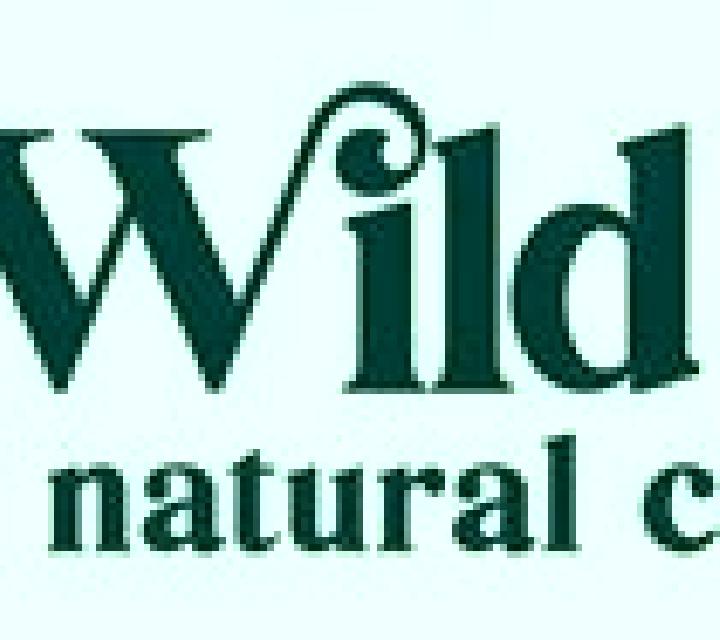 Wild Rain online slot