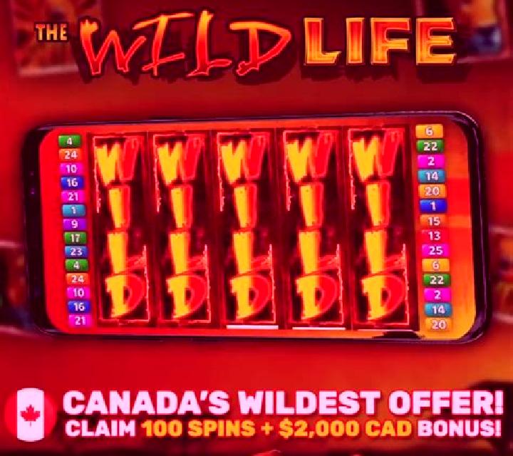 Wild Reels online slot