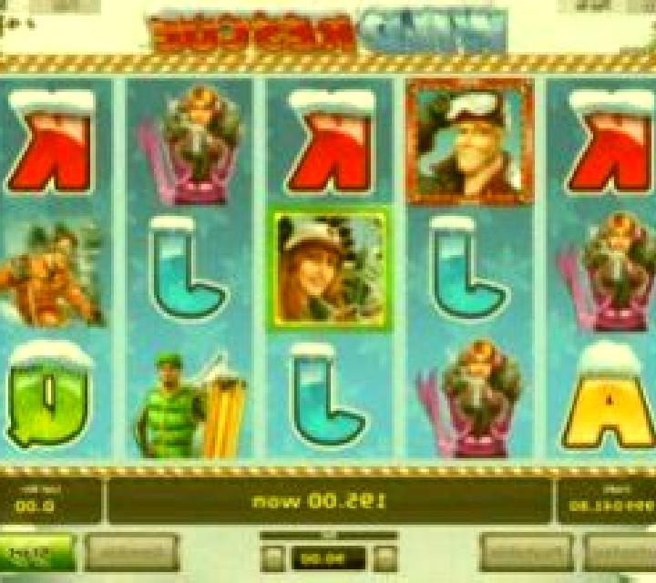 Wild Rescue slot