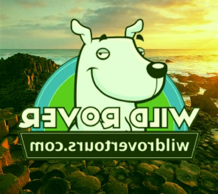 Wild Rover online slot