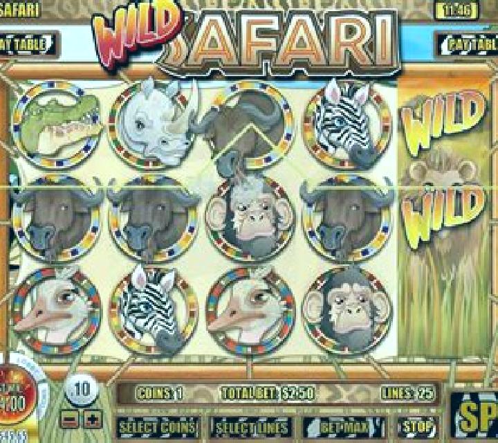 Wild Safari (Rival) slot game