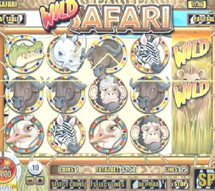 Wild Safari (Rival) slot