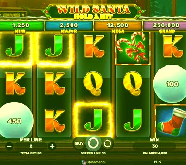 Wild Santa slot