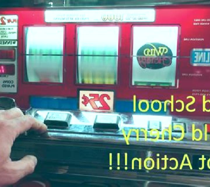 Wild School online slot