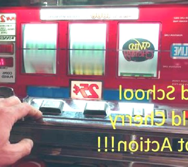 Wild School slot game