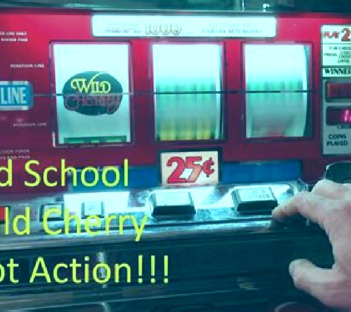 Wild School slot
