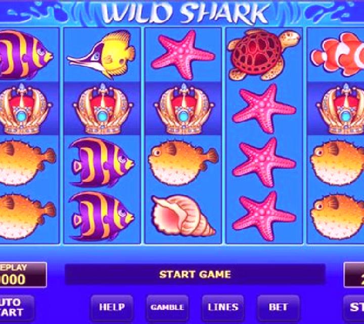 Wild Shark slot game