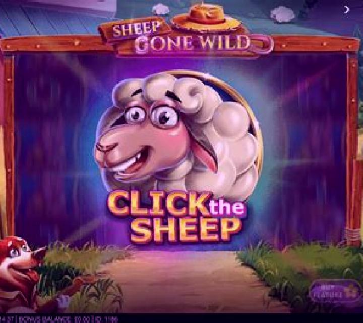 Wild Sheep slot machine