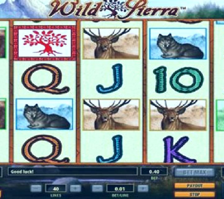 Wild Sierra slot game
