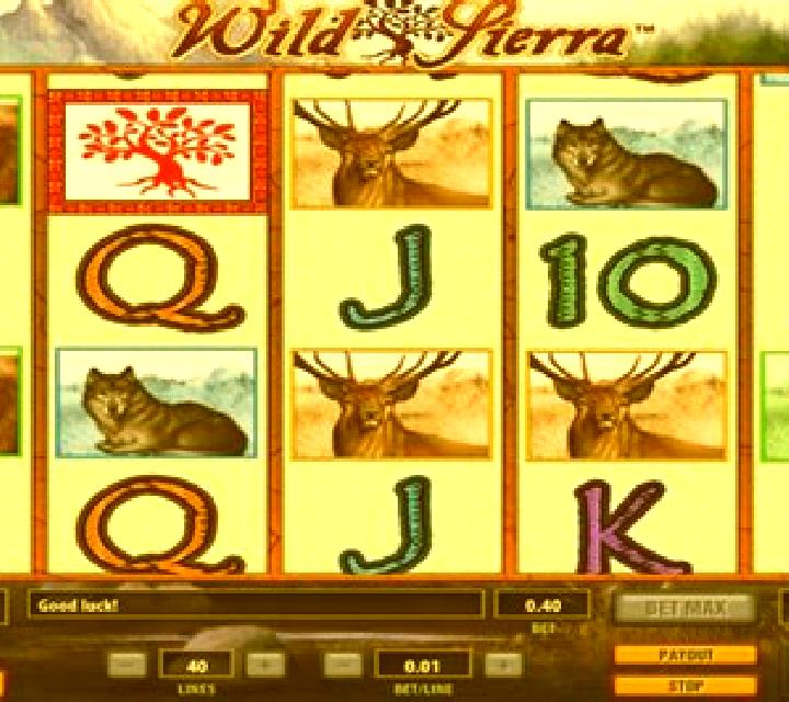 Wild Sierra slot