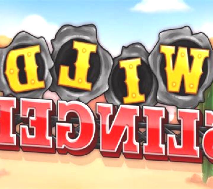 Wild Slinger slot game