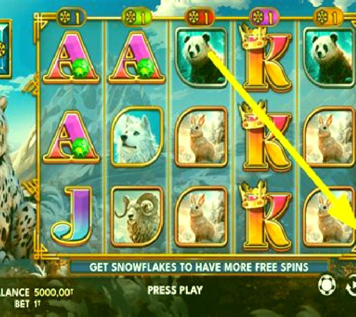 Wild Snow Spin slot