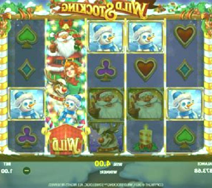Wild Stocking slot game
