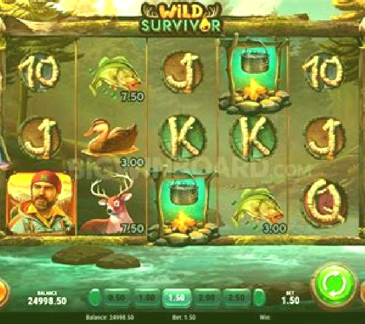 Wild Survivor slot