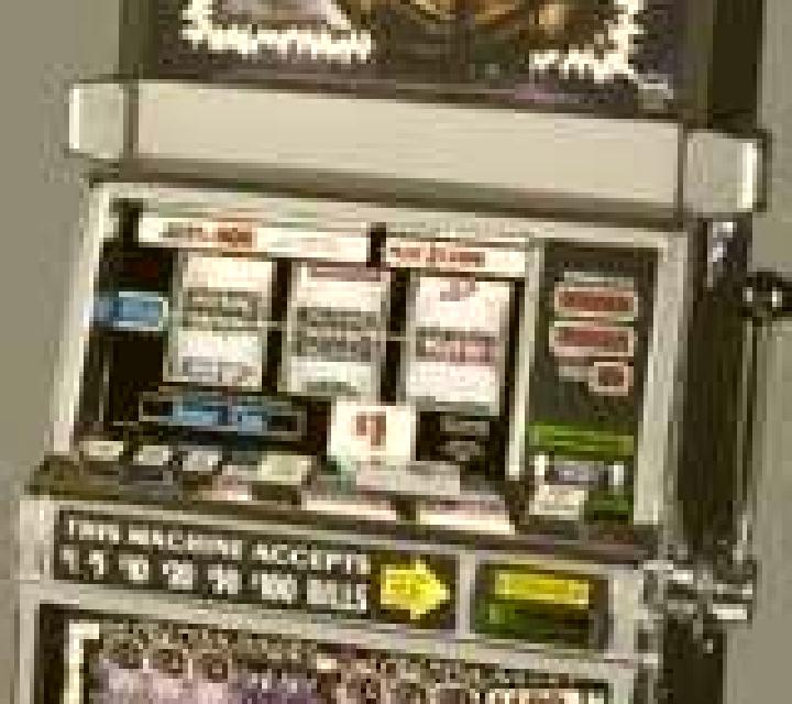 Wild Thing slot machine