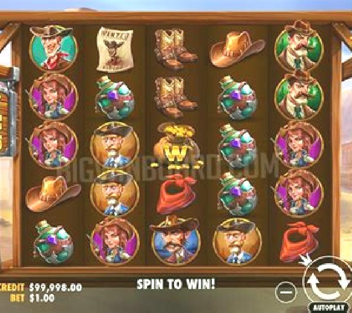 Wild Treasure Reels slot game