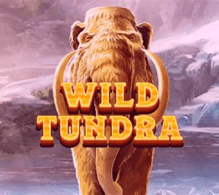 Wild Tundra slot