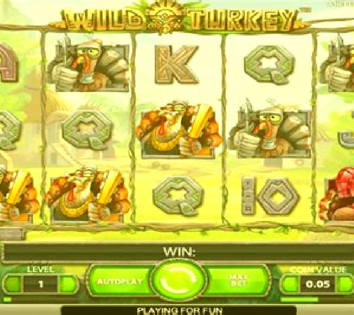 Wild Turkey slot game