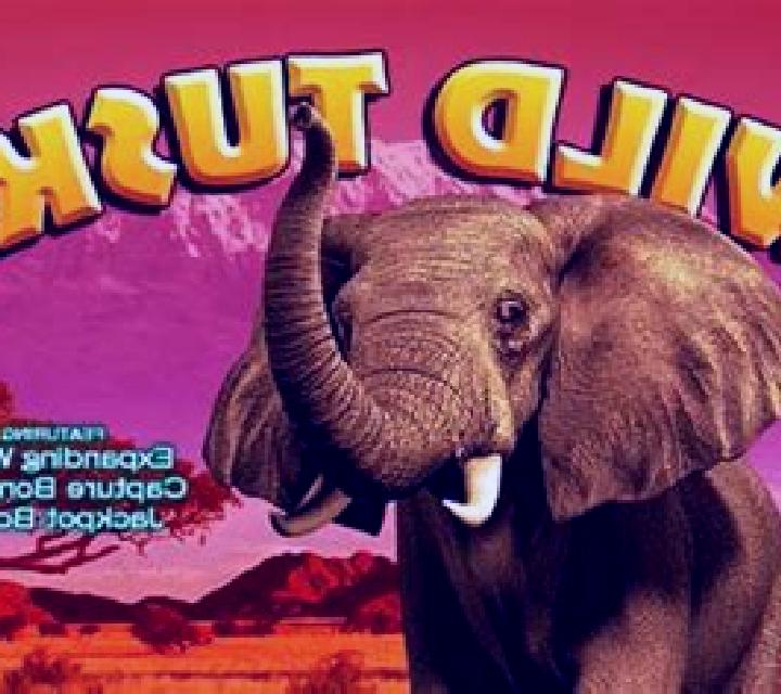 Wild Tusks online slot