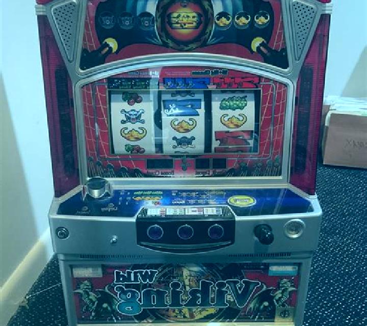 Wild Viking slot machine