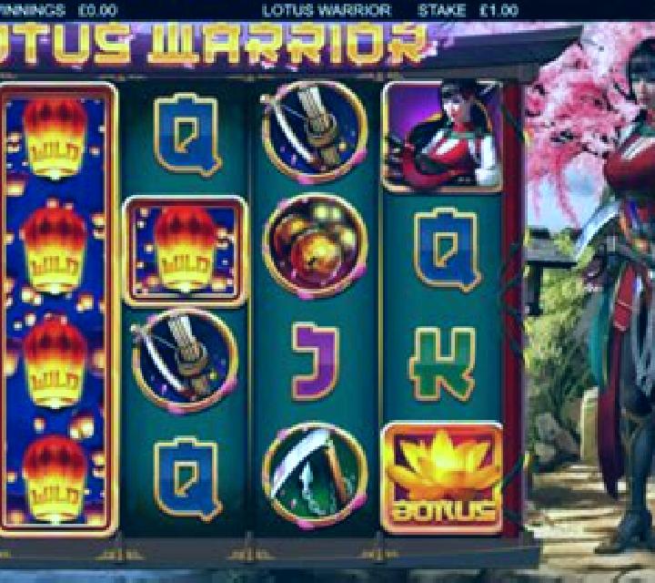 Wild Warrior slot