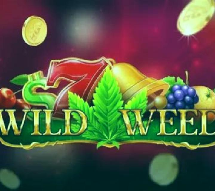 Wild Weed slot game