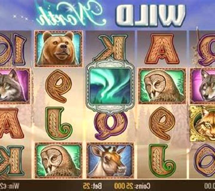 Wild Wild North slot