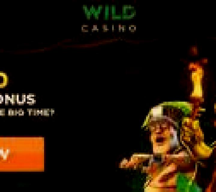 Wild! Wild! Wild! online slot