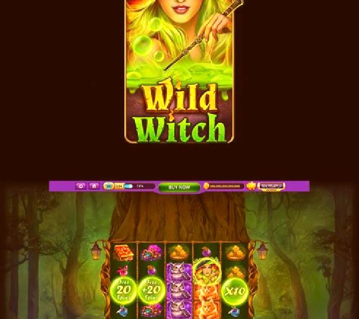 Wild Wild Witch slot game