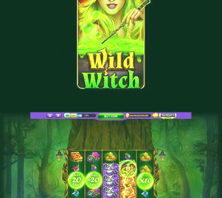 Wild Wild Witch slot