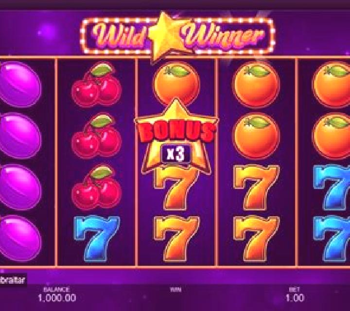 Wild Winner online slot
