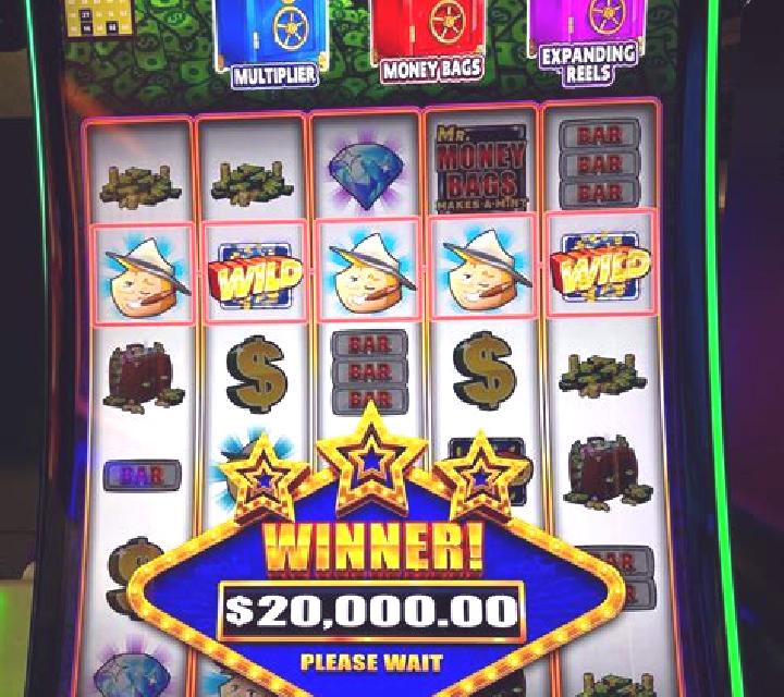 Wild Winner slot game