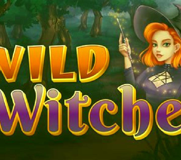 Wild Witches (NetEnt) slot game