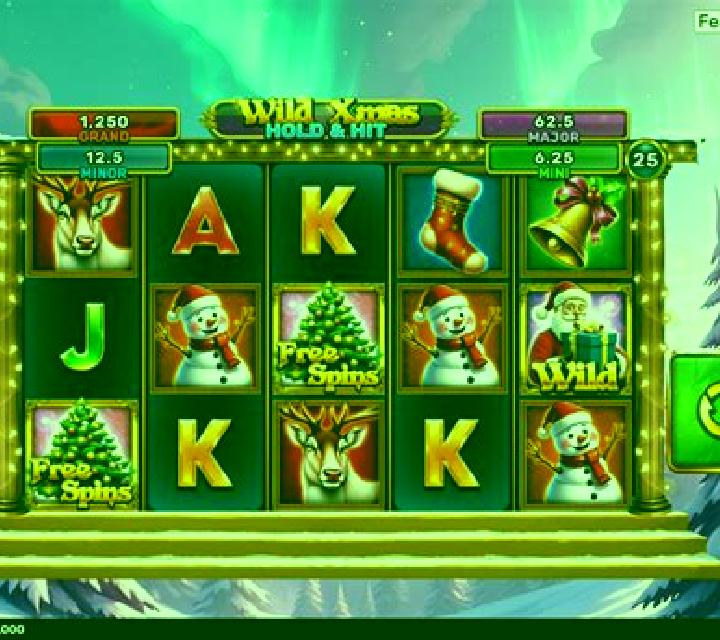 Wild Xmas Hold & Hit slot