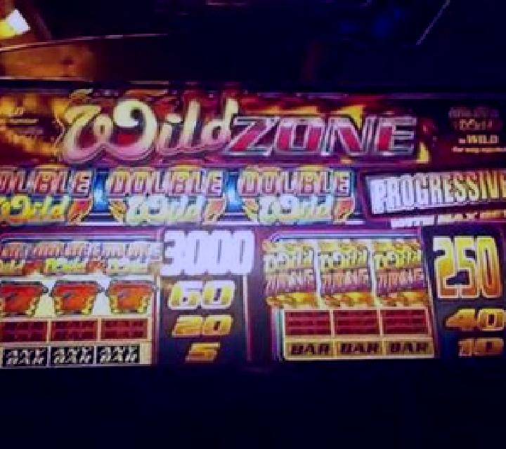 Wild Zone slot game