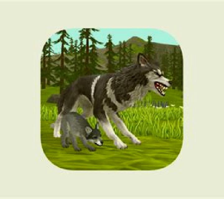 Wildcraft slot