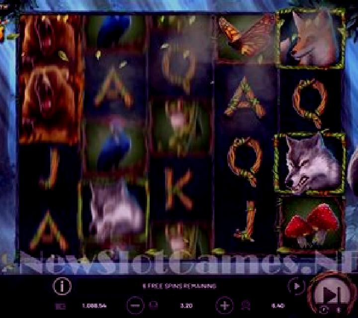 Wilderness slot game