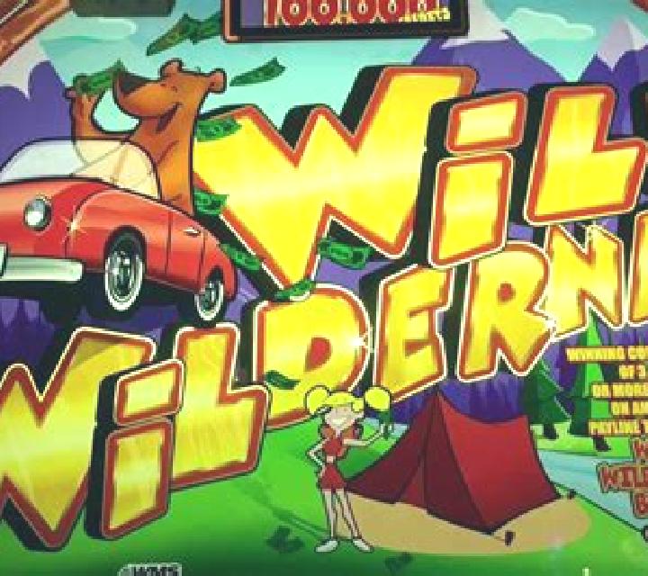Wilderness slot machine
