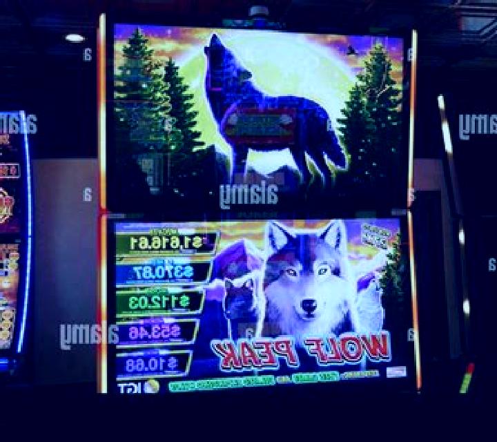 Wilderness Wolves slot machine