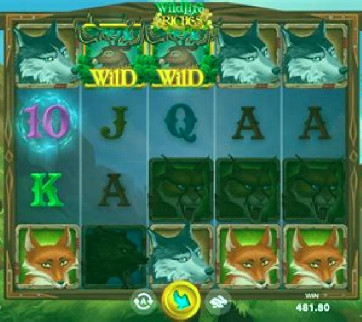 Wildlife Riches online slot