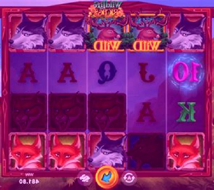 Wildlife Riches slot game
