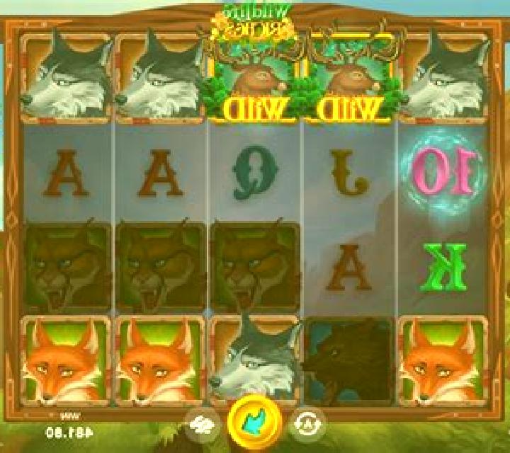 Wildlife Riches slot machine